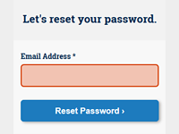 Reset password form