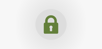 Privacy & Security Icon